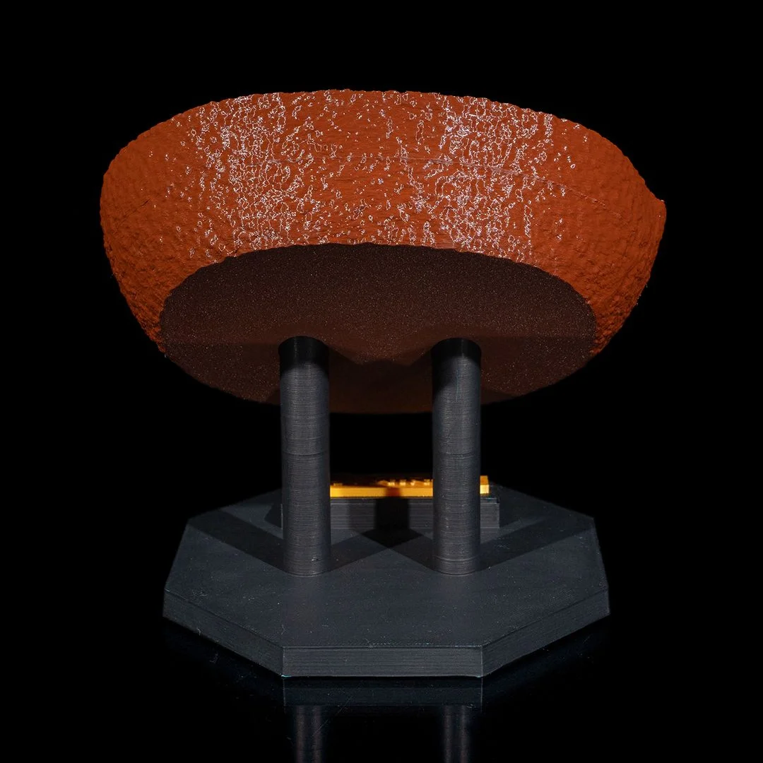 Rear view of an animal cell model showing the outer shell and support stand.