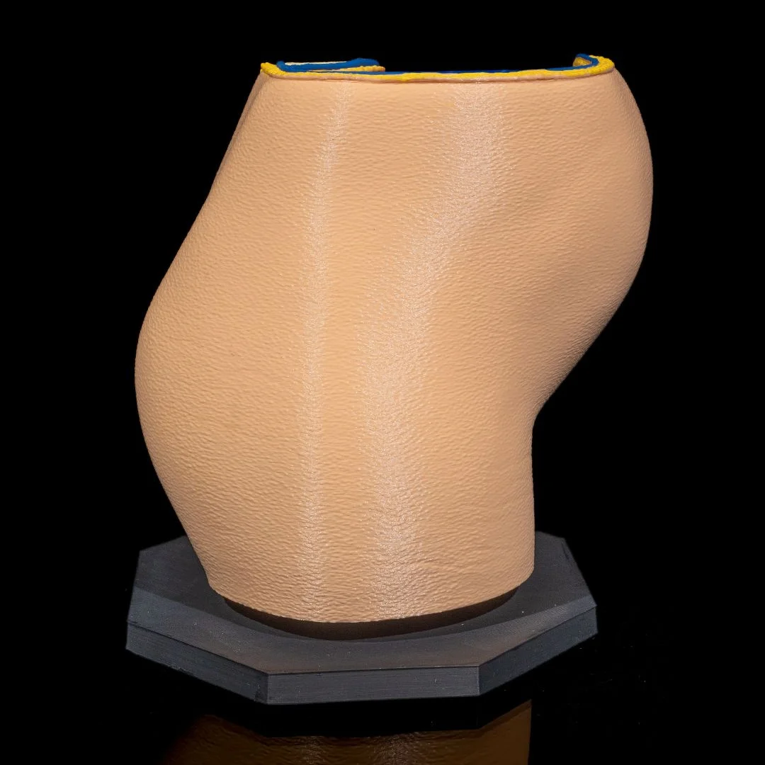 Rear view of a pregnancy anatomy model showing the outer abdominal surface.