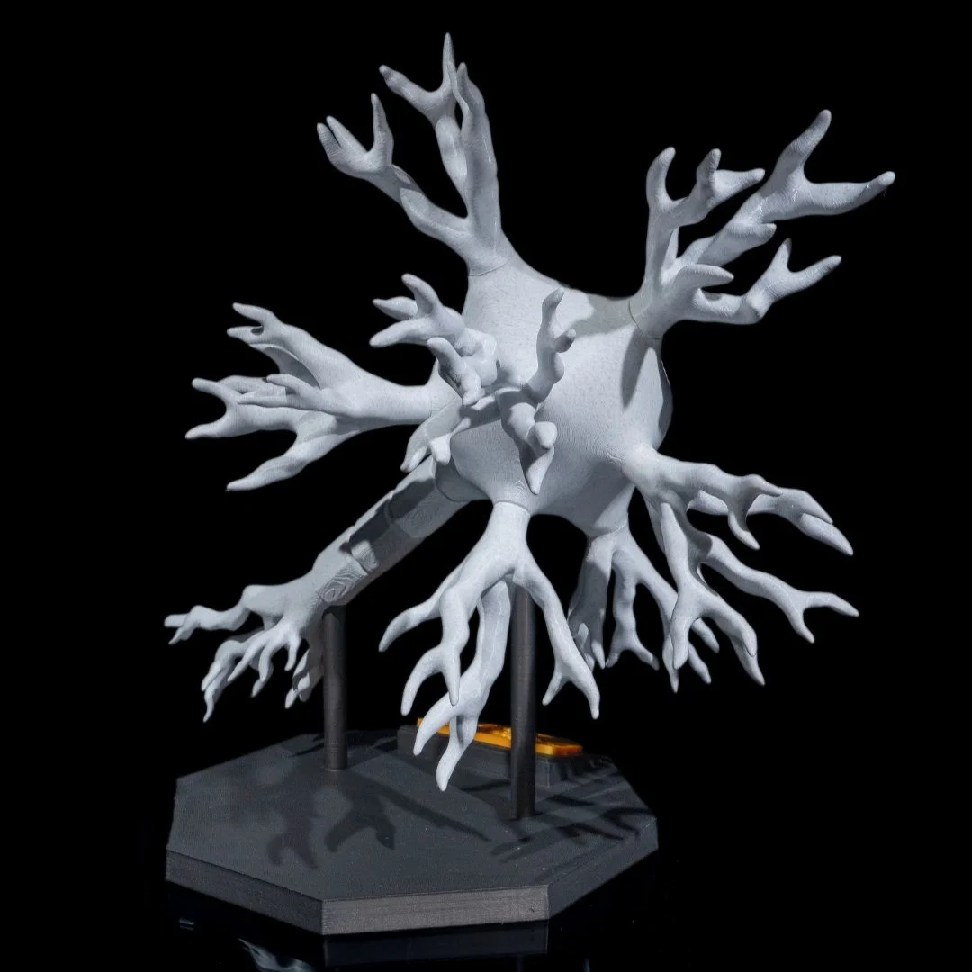 Rear view of a neuron model showing its branching outer surface.