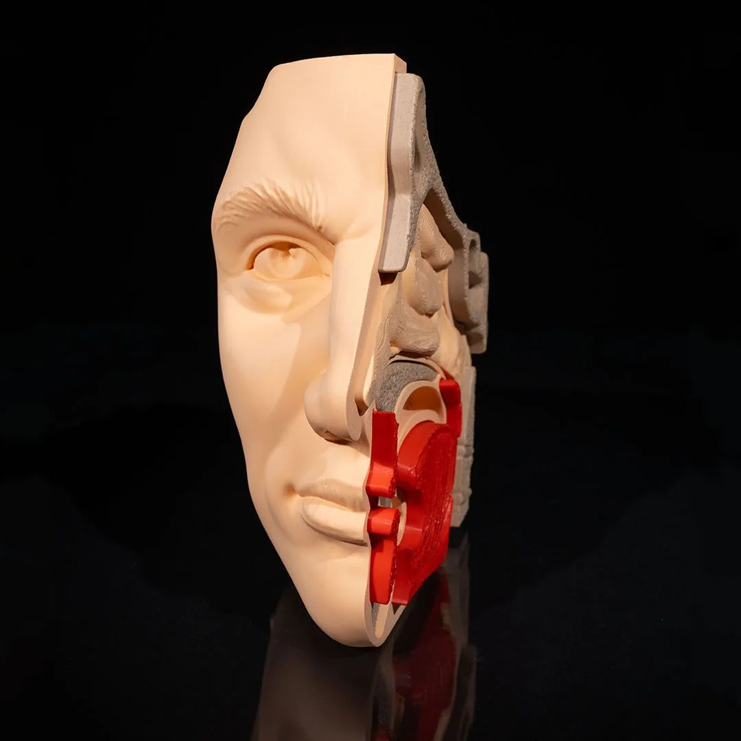 Front view of a half-head model with facial features and an exposed internal section.