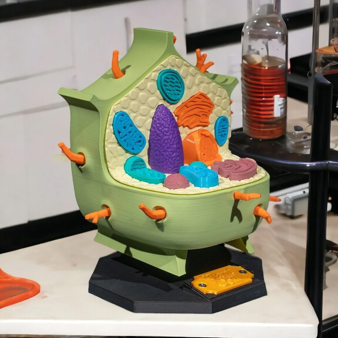 Plant cell teaching model displayed on its support base.