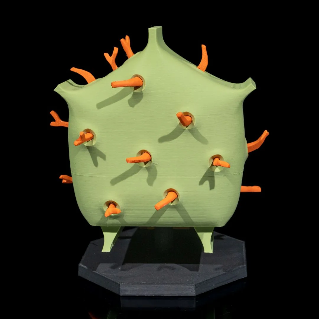 Opposite rear angle of a plant cell model with surface details visible.