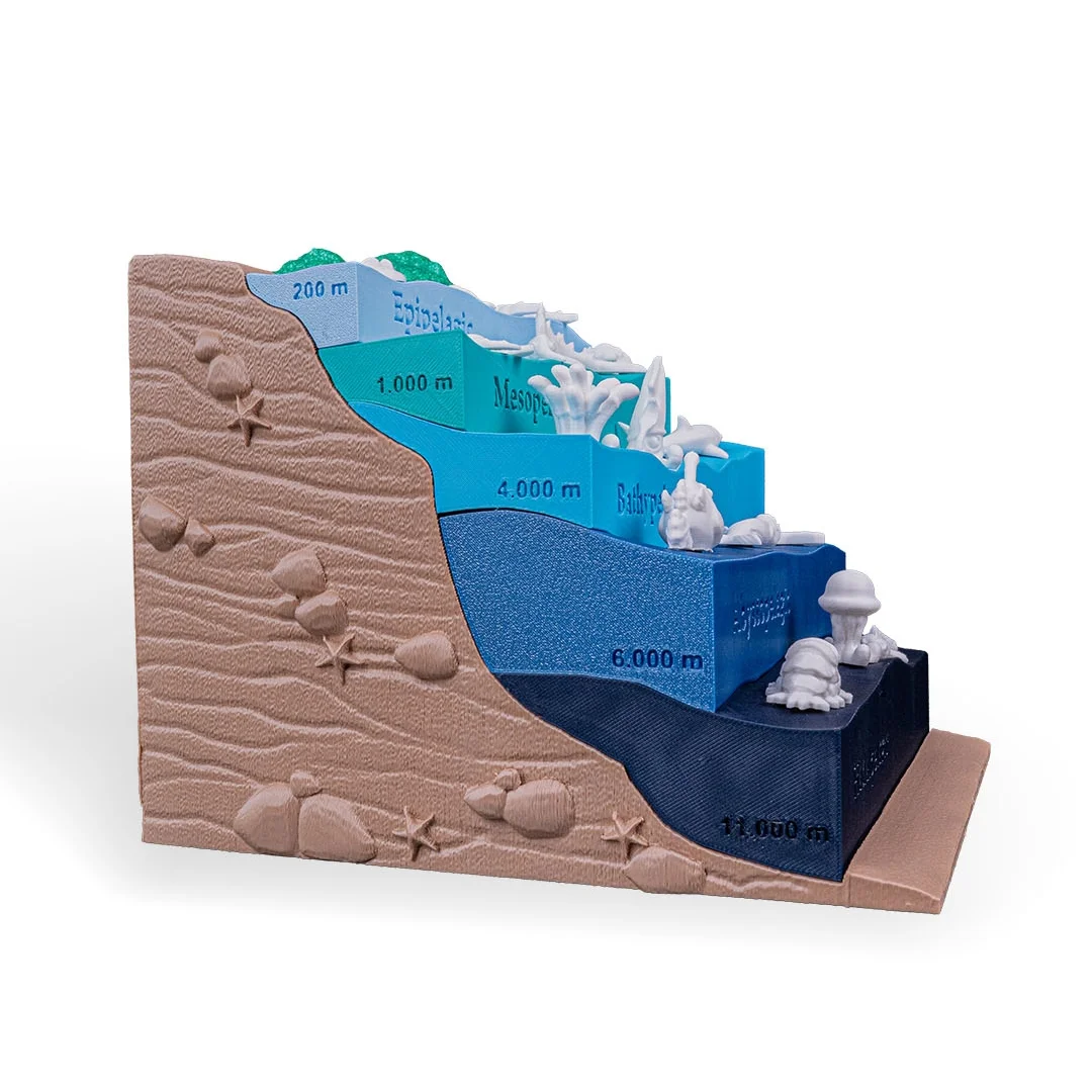 Side view of an ocean zones model showing depth markings and seabed layers.