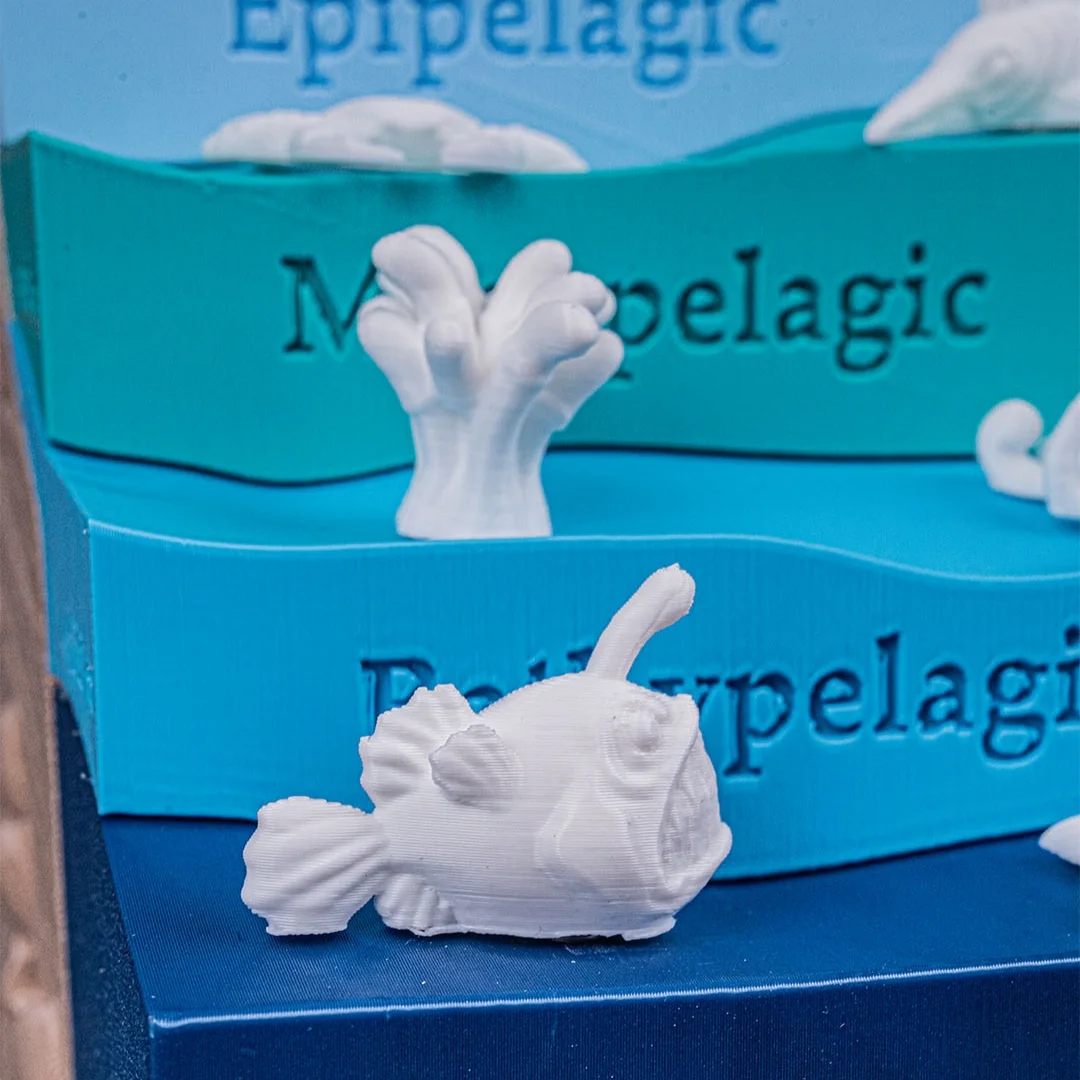 Detail of raised marine figures on the ocean zones model.