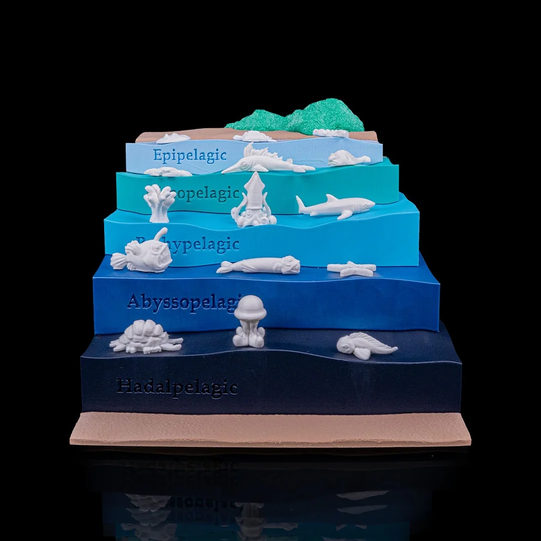 Front view of the ocean depth teaching model and its labelled levels.