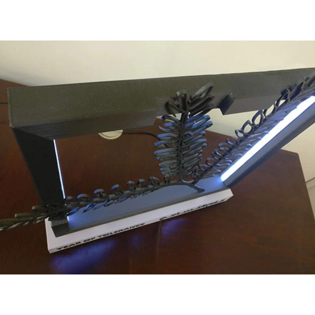 Close angled view of a Year of Tolerance sculpture showing the illuminated inner frame.