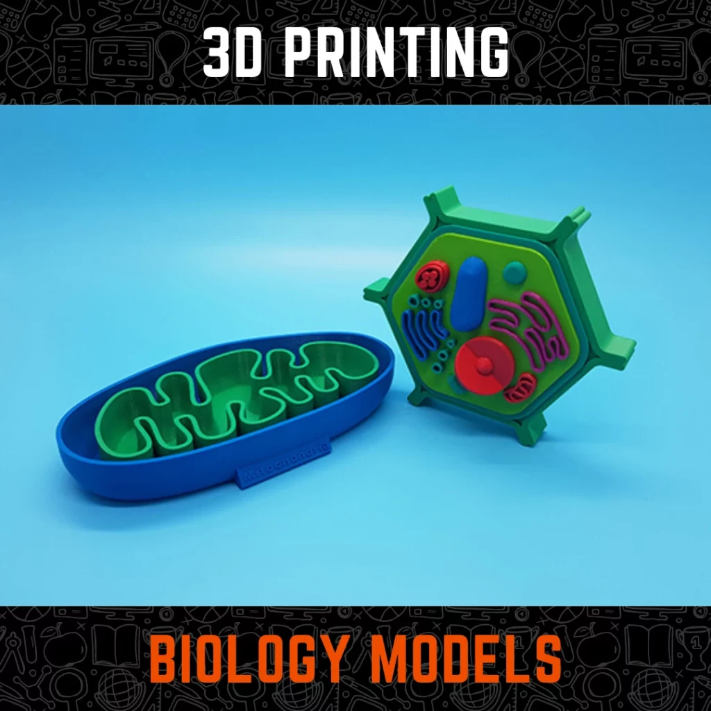 3d printing biology models in UAE