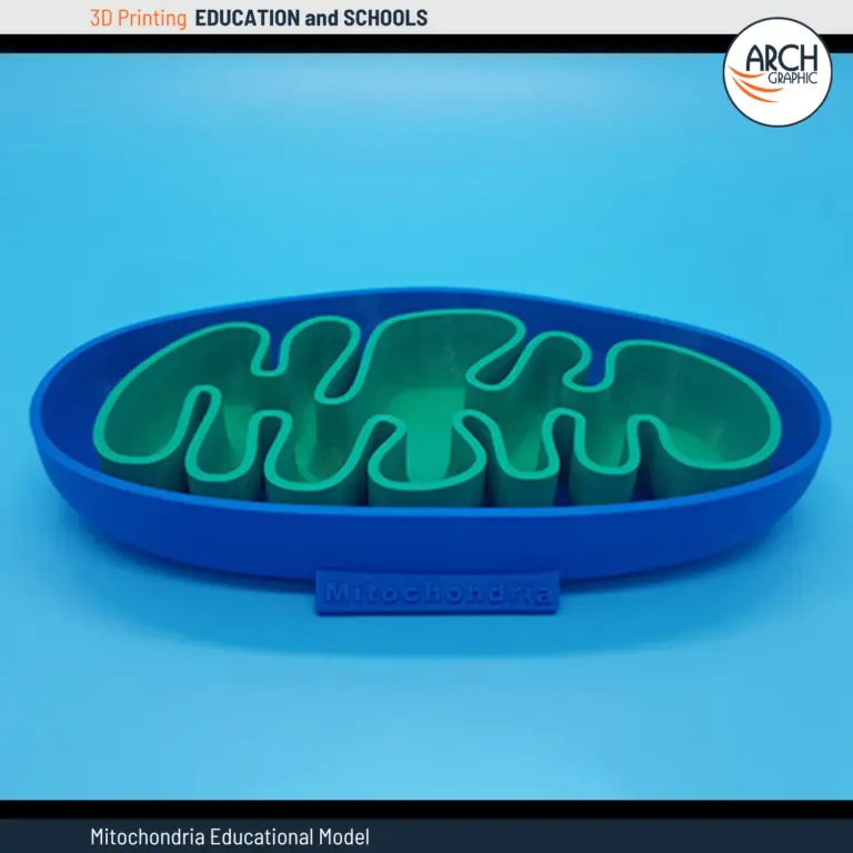 3D printed mitochondria model for biology education in UAE