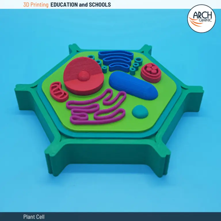 3D printed plant cell model for biology education in UAE