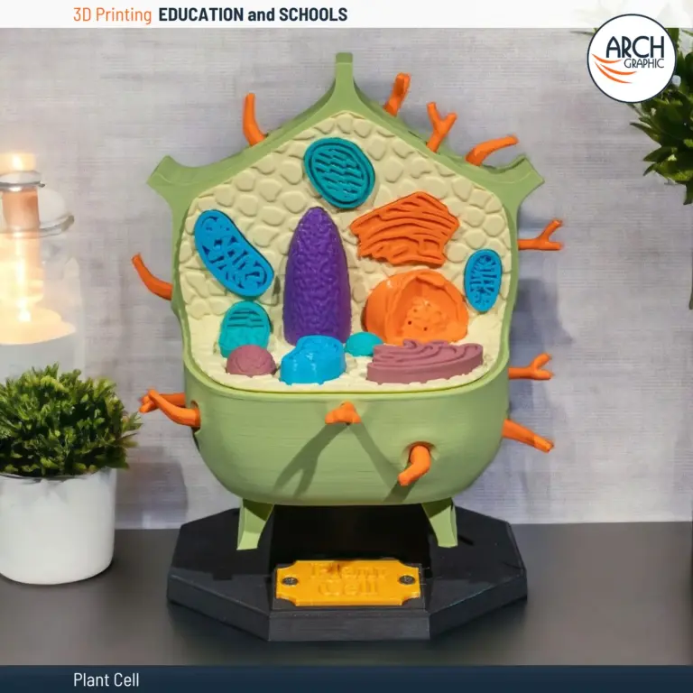 3D Printed Plant Cell Model for Educational Use